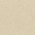 Birch – S7101
