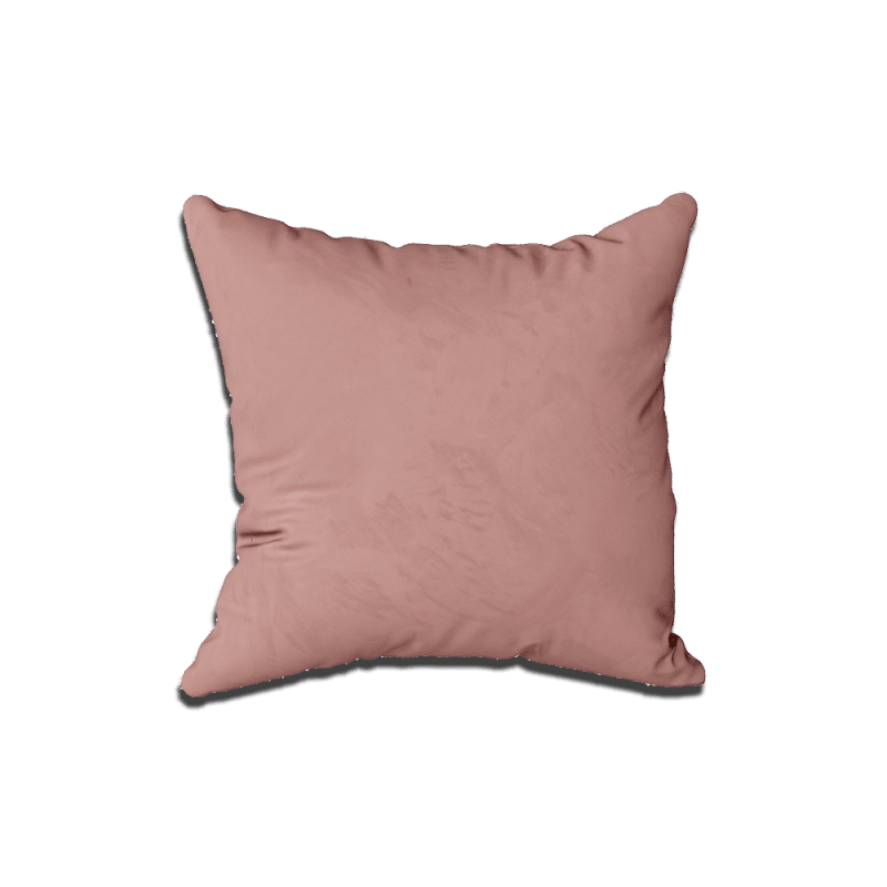 Pude´
