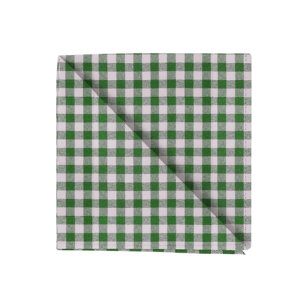 Ternet serviet